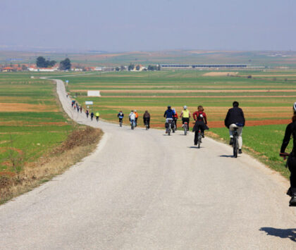 Cycle Safari