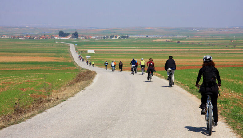 Cycle Safari